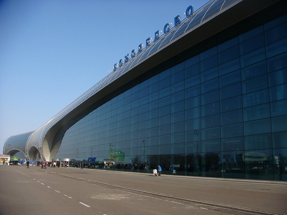Милонов предложил создать единую систему охраны аэропортов