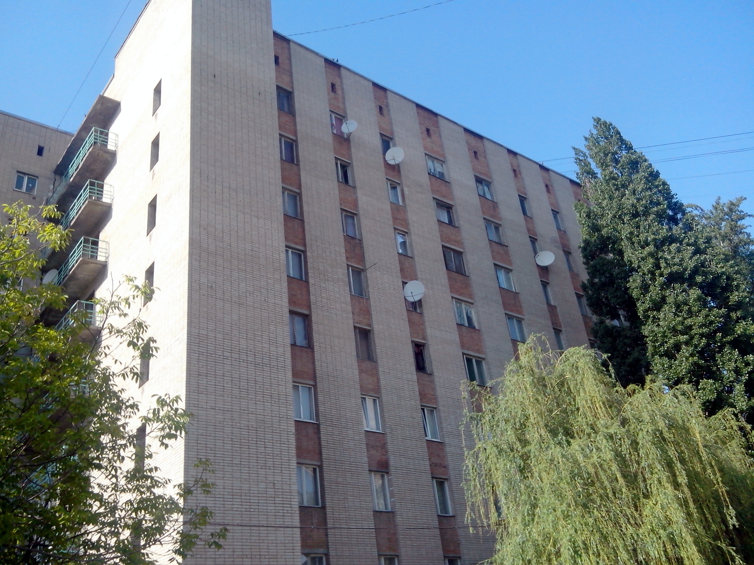 В ростовских общежитиях из-за коронавируса будут дежурить медработники и сотрудники ЧОП