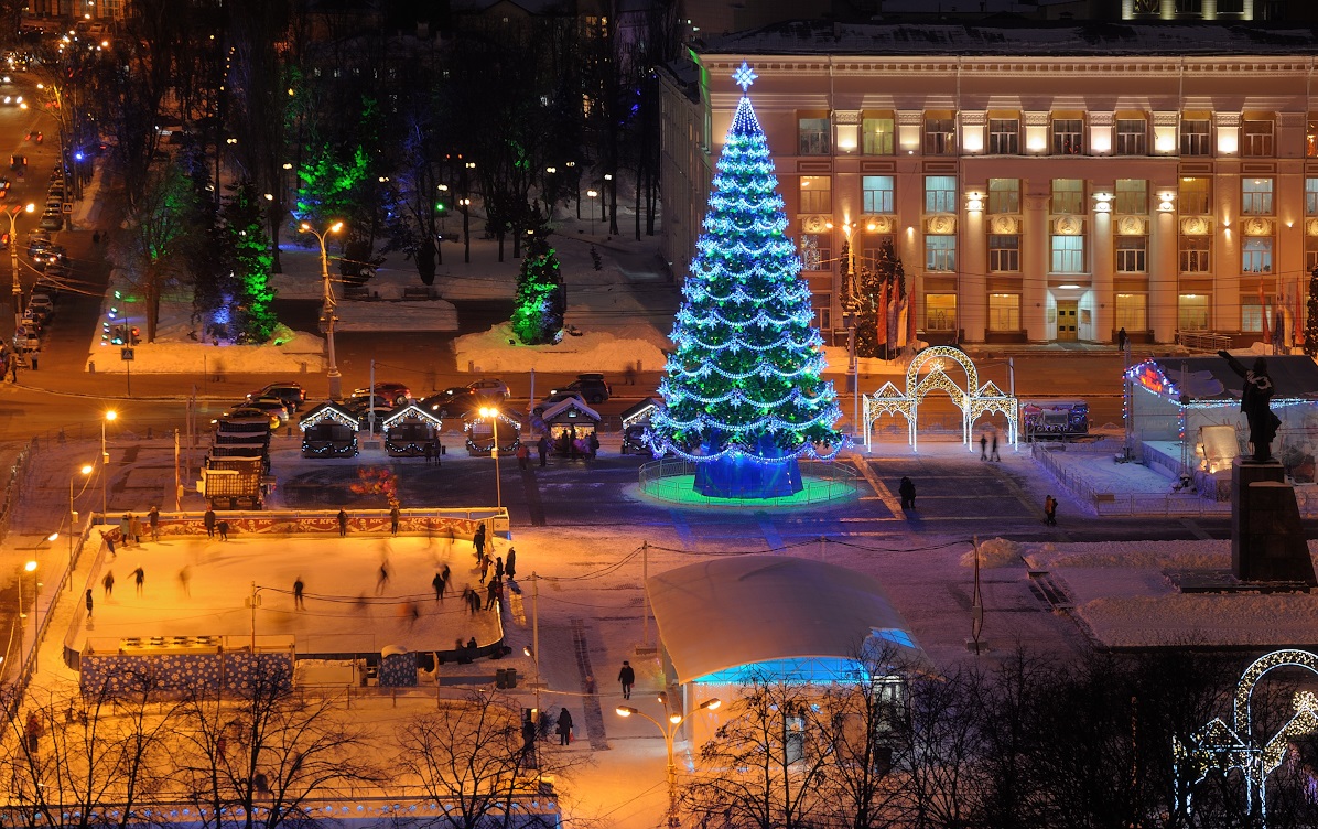 В новогодние праздники на охрану главной площади Воронежа потратят почти 2.5 млн рублей