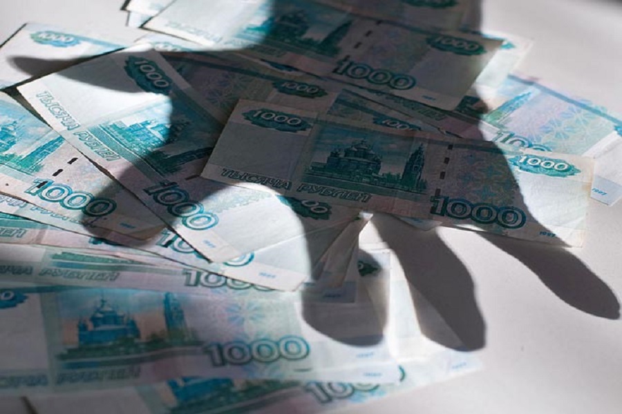 Полиция Воронежа выявила хищение бюджетных денежных средств местной ЧОО