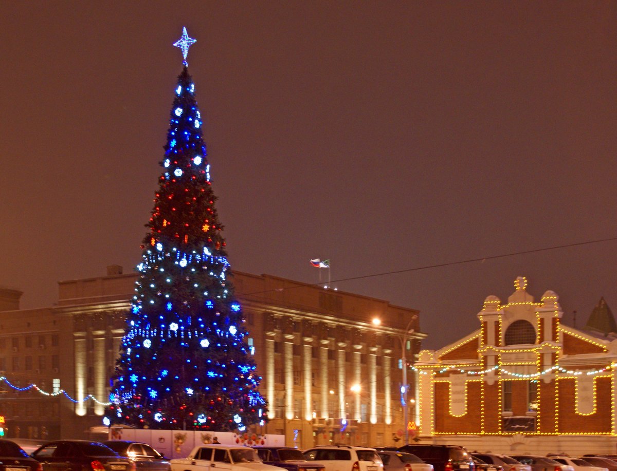 На охрану главной ёлки Новосибирска потратят 700 тысяч рублей
